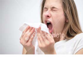 sneeze
